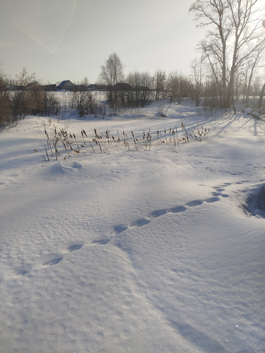 Даже и не подумаешь, что там водоём.