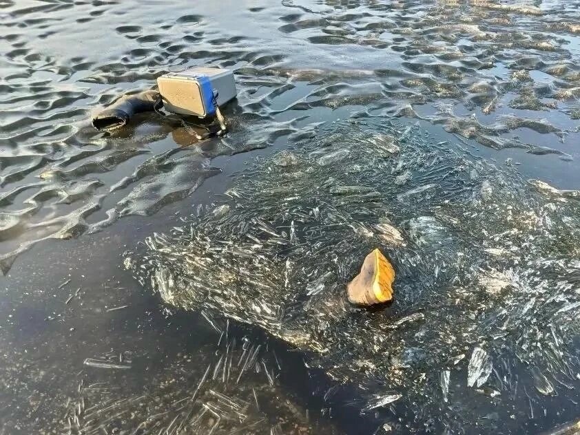 Фото из канала СУ СК России по Псковской области в мессенджере MAX