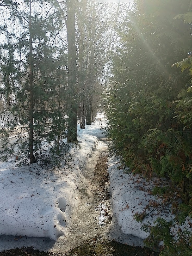 Фото автора.