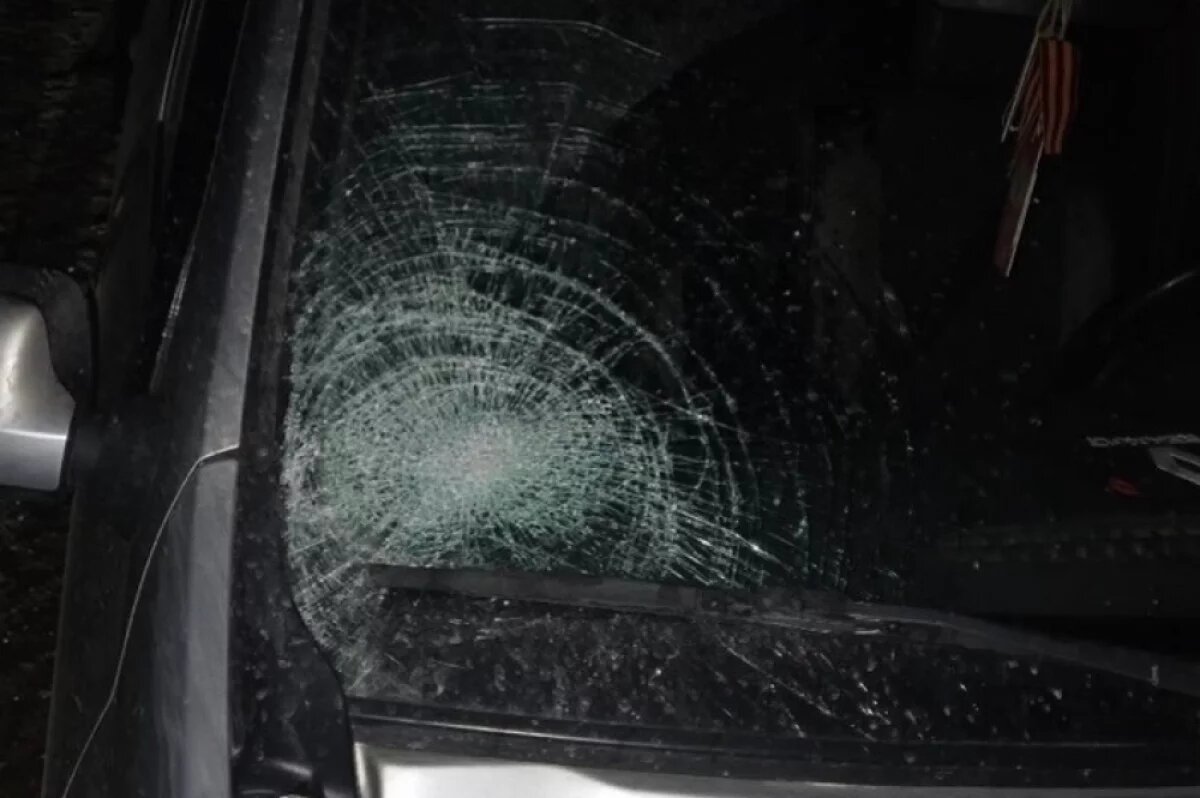    В Лесном округе 14-летняя девочка попала под машину в тёмное время суток