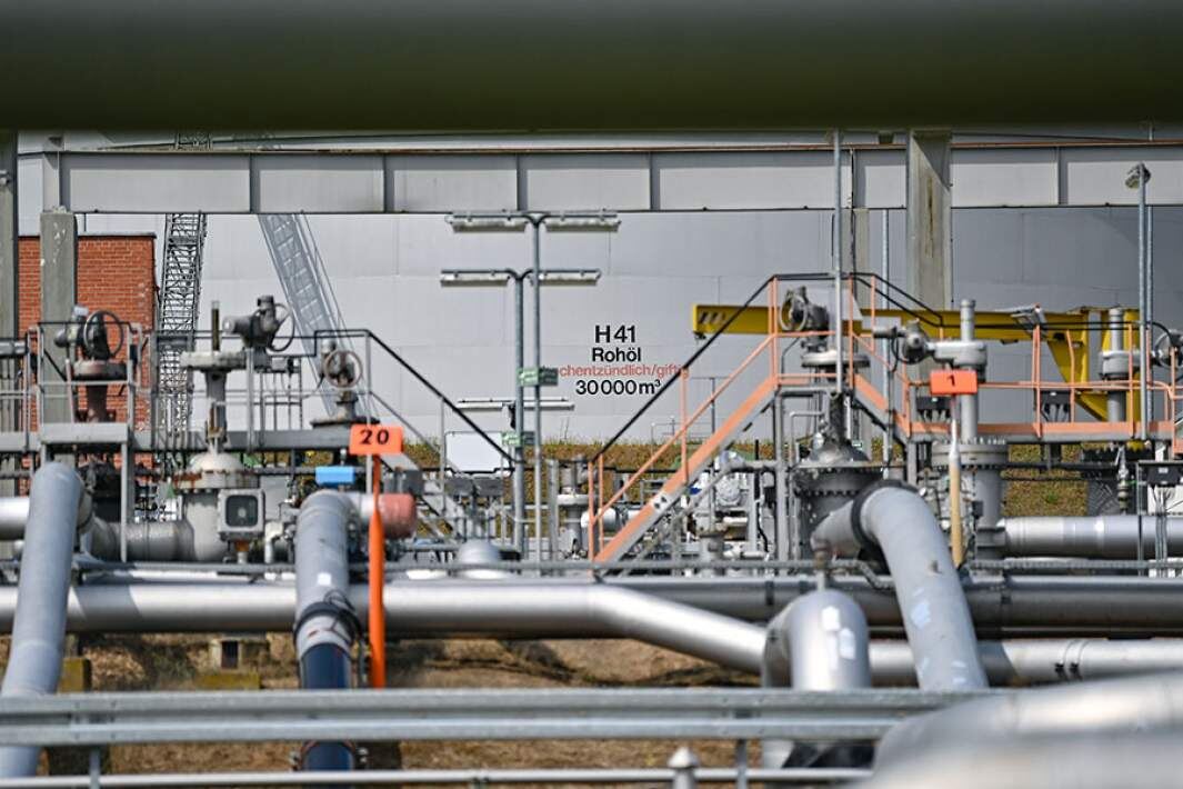 Фото: TASS/Patrick Pleul