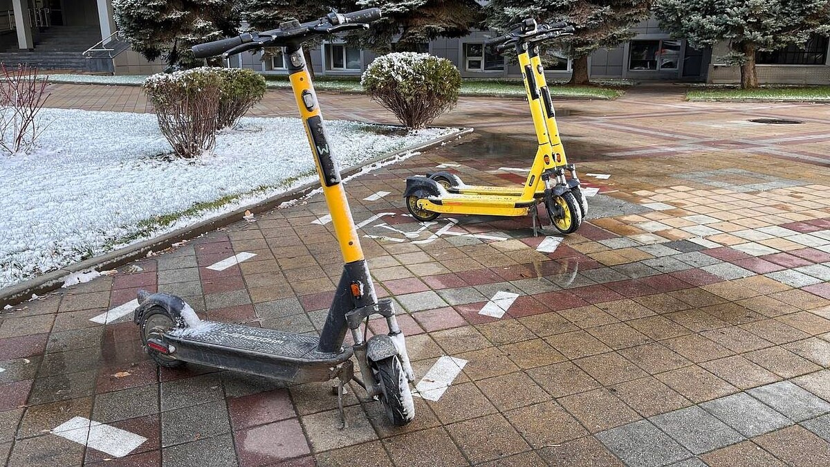    Фото: телеканал «Краснодар»