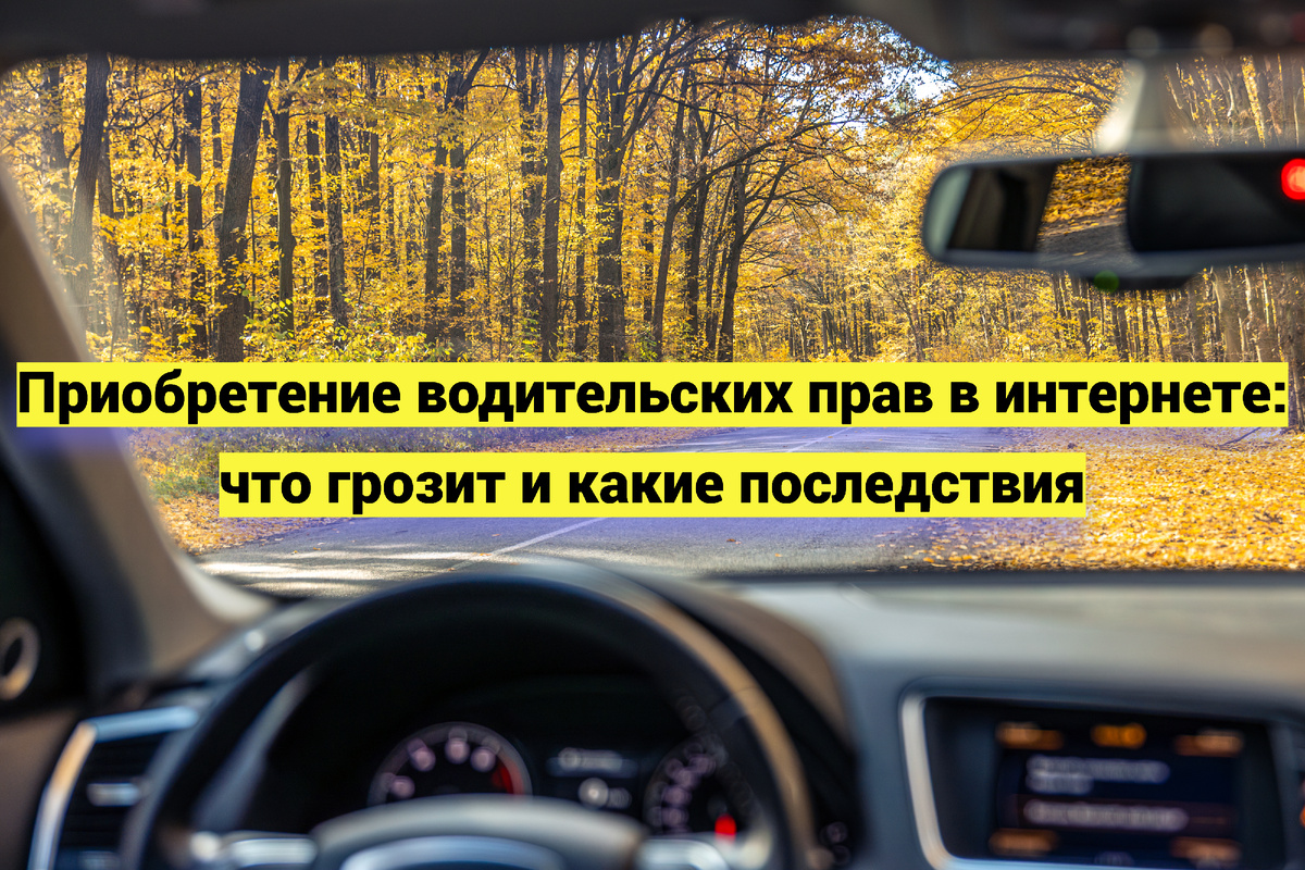 Источник фото:   ru.freepik.com