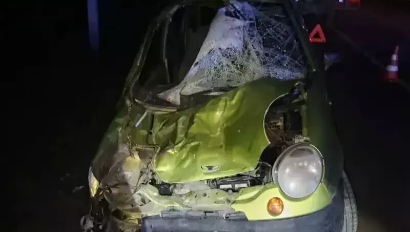      Фото: ПАСС СК