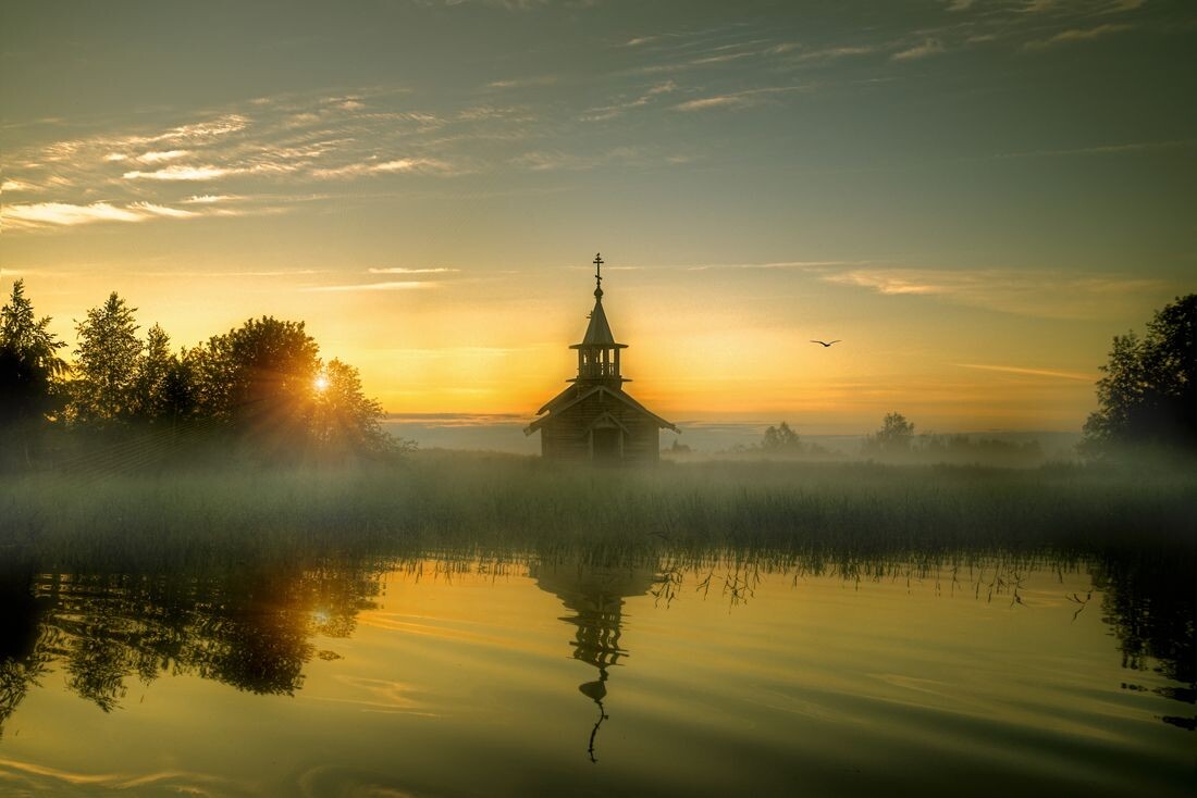 фото из открытого доступного источника сети интернет