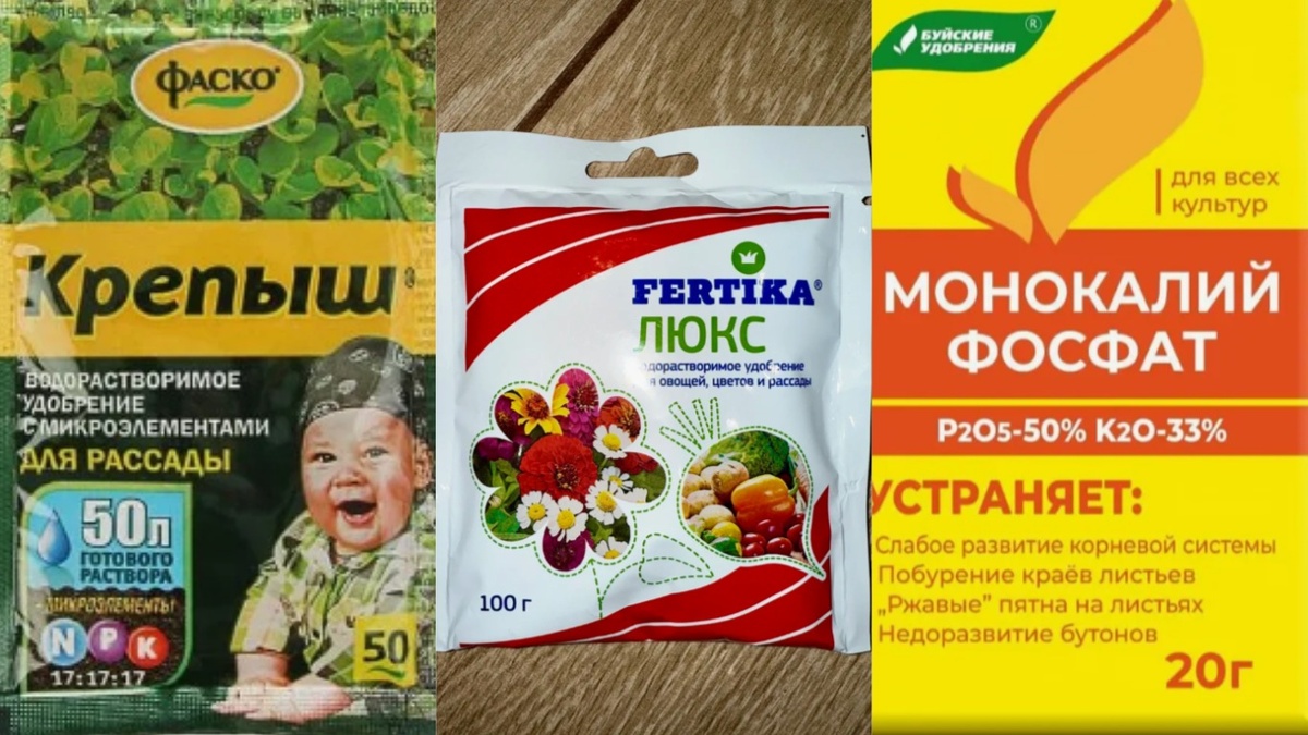 Три удобрения, которые реально работают для первой подкормки рассады после пикировки