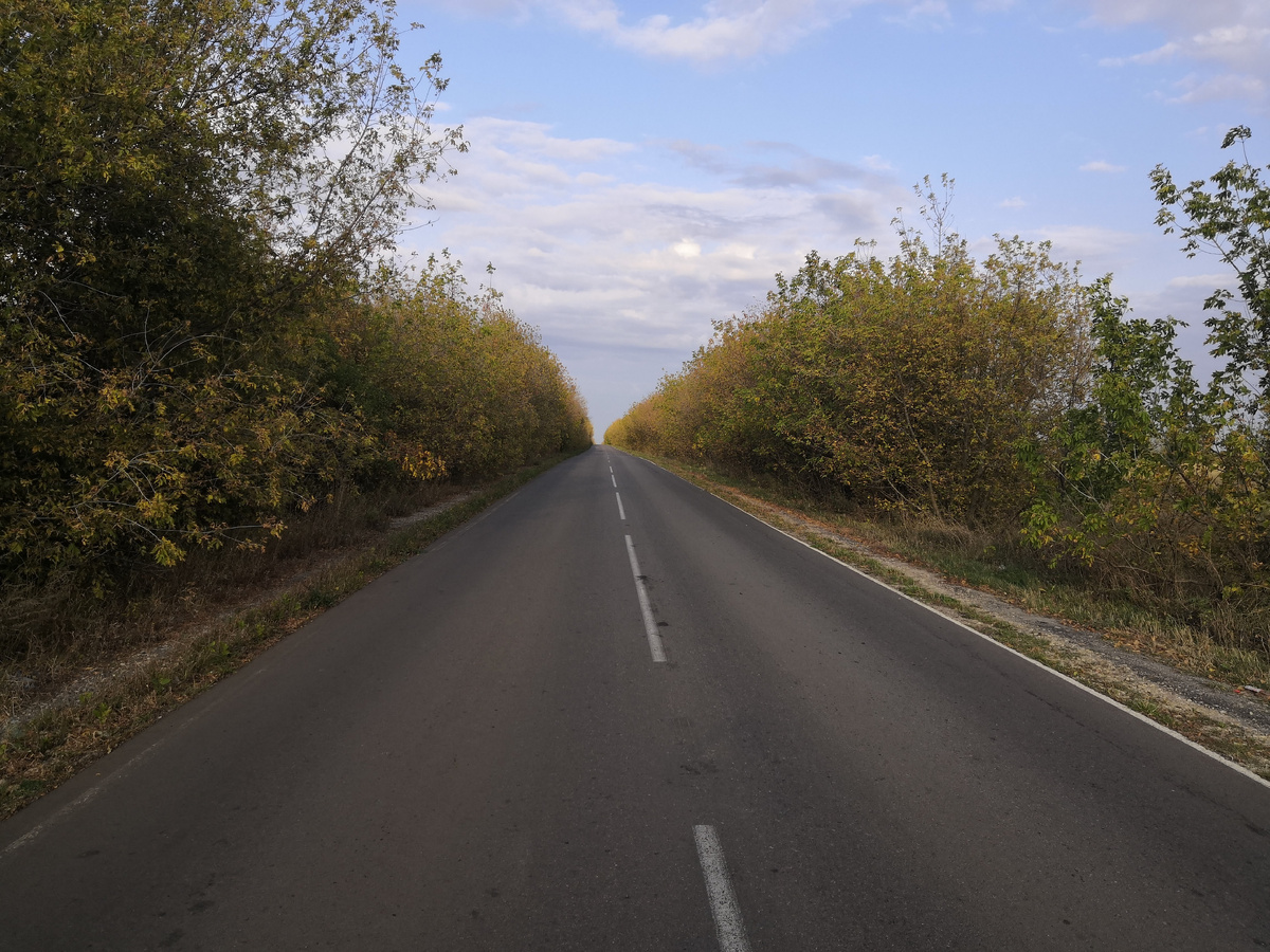 Финишный отрезок дороги до деревни Кондуки.