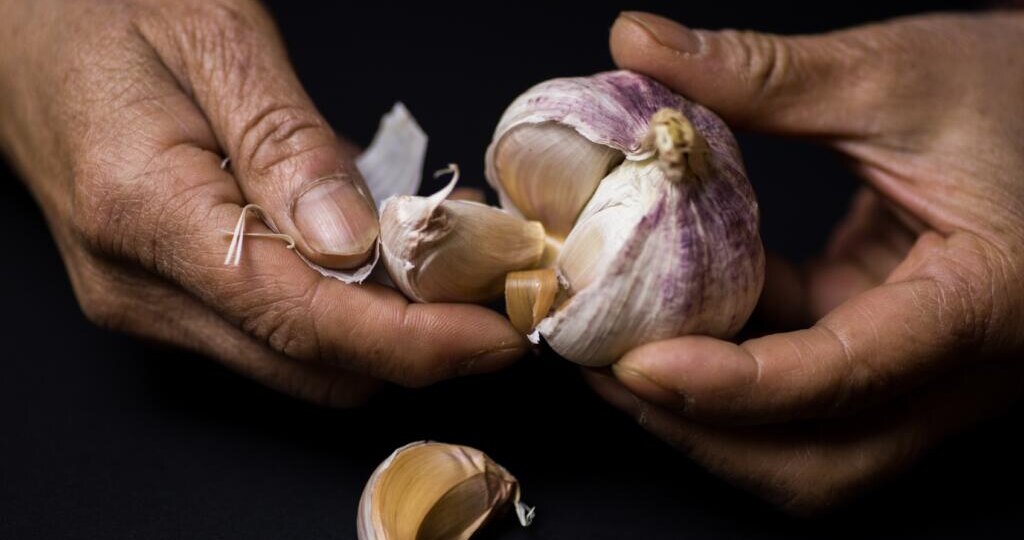 Чем обработать чеснок перед посадкой
