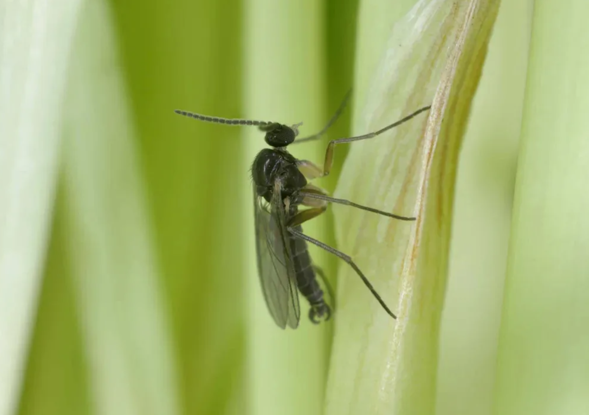 Источник фото: yahoo.com