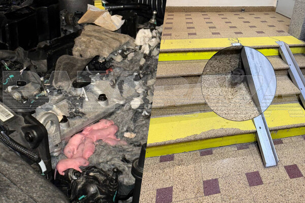 Telegram-канал «Baza»  📷