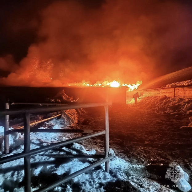    Спасатели вывели 180 коров из горящей фермы под Кировом