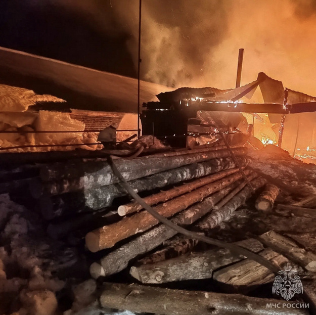    Спасатели вывели 180 коров из горящей фермы под Кировом