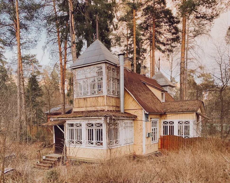 Фотопроект «Кратовские дачи»
Фото: Фёдор Савинцев