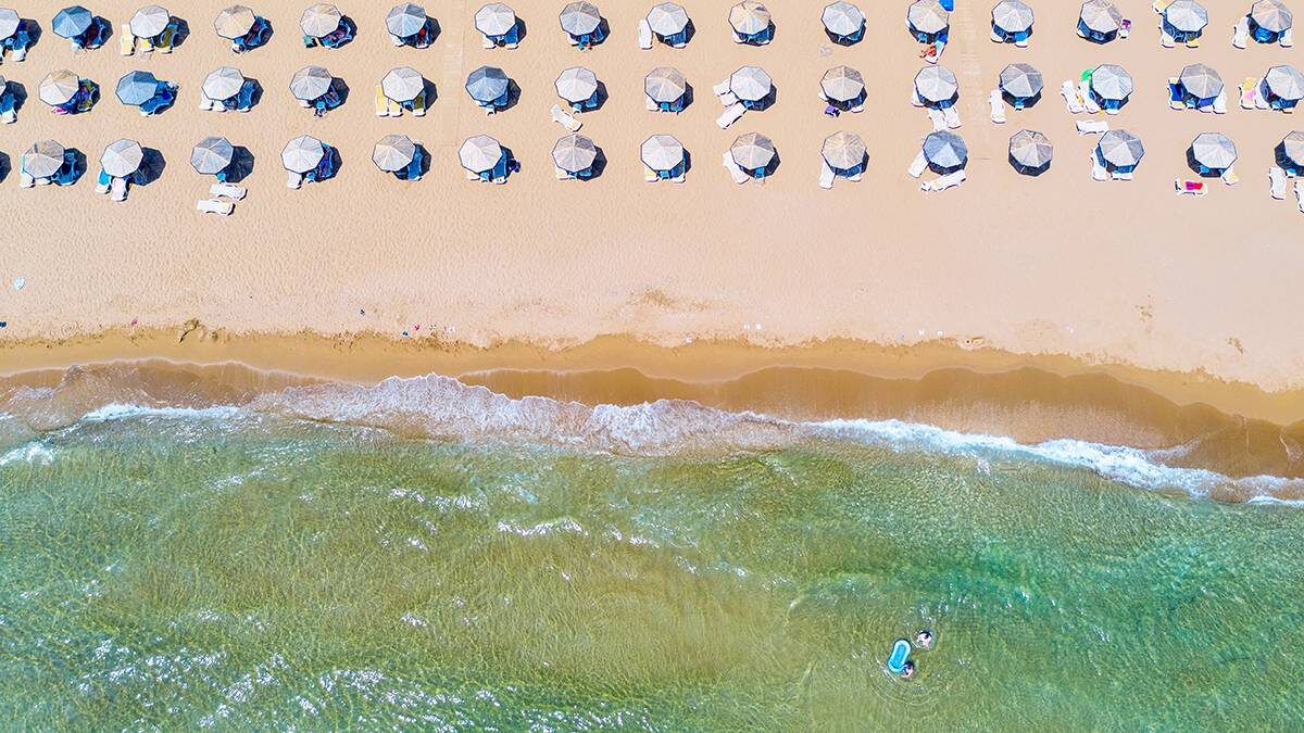    Фото: Shutterstock