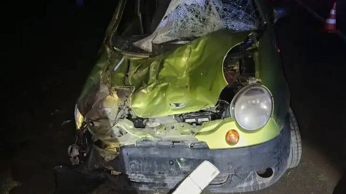    Фото: ПАСС СК / Telegram