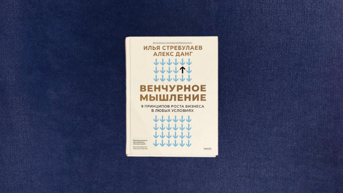 Илья Стребулаев, Алекс Данг. Венчурное мышление