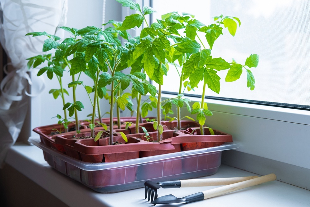 Результаты после изменений