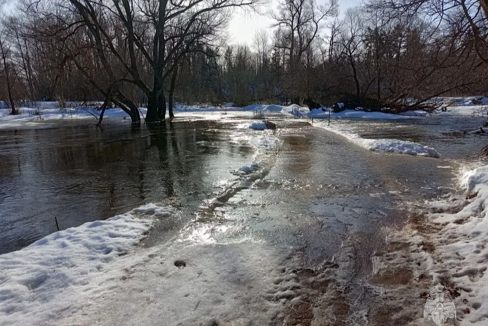    Фото: ГУ МЧС