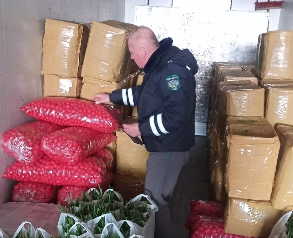    Фото: Россельхознадзор Брянск, Смоленск и Калуга.