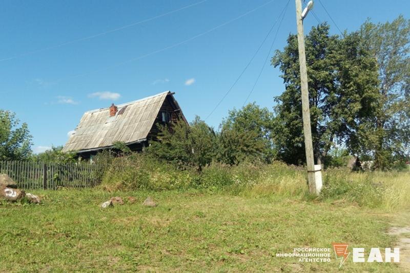    ЕАН. Заросли возле дома