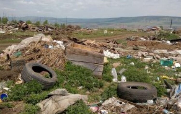    Фото: Россельхознадзор РФ