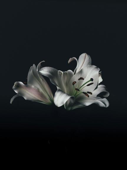    Фото: unsplash.com
