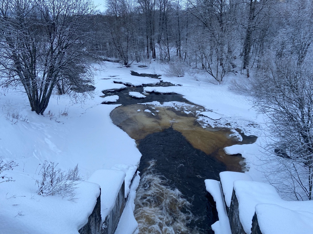    фото: © Мария Голубева/Столица на Онего