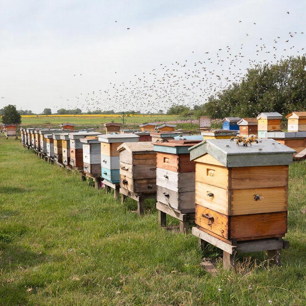 Изображение сгенерировано сервисом GigaChat 