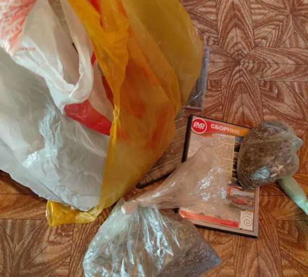 Собирательство диких растений довело воронежца до уголовного дела