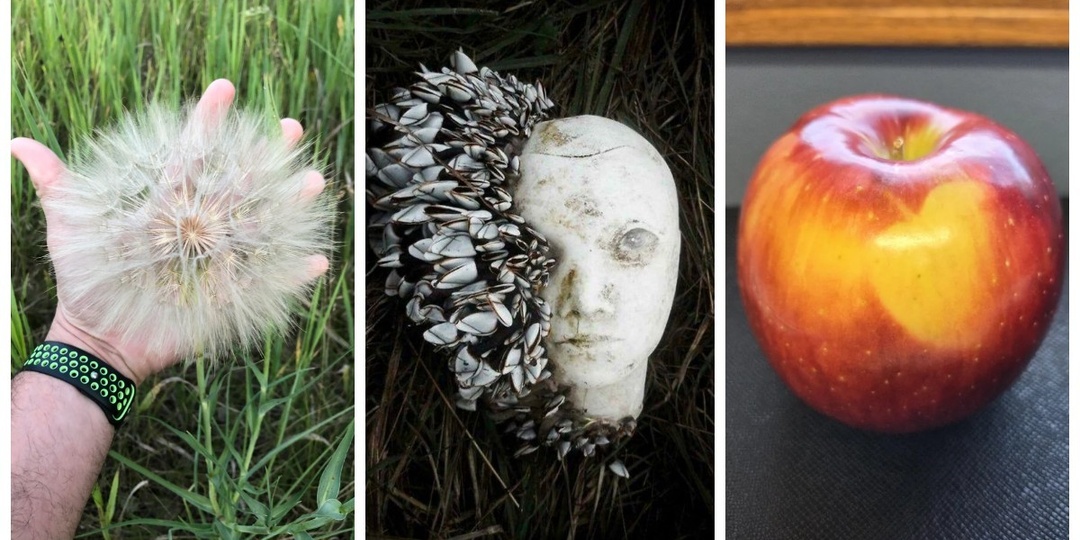 30 кадров, которые заставят вас протереть глаза