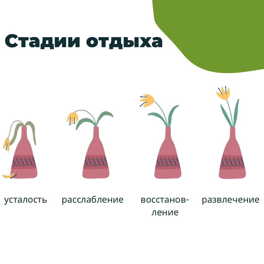 Стадии отдыха