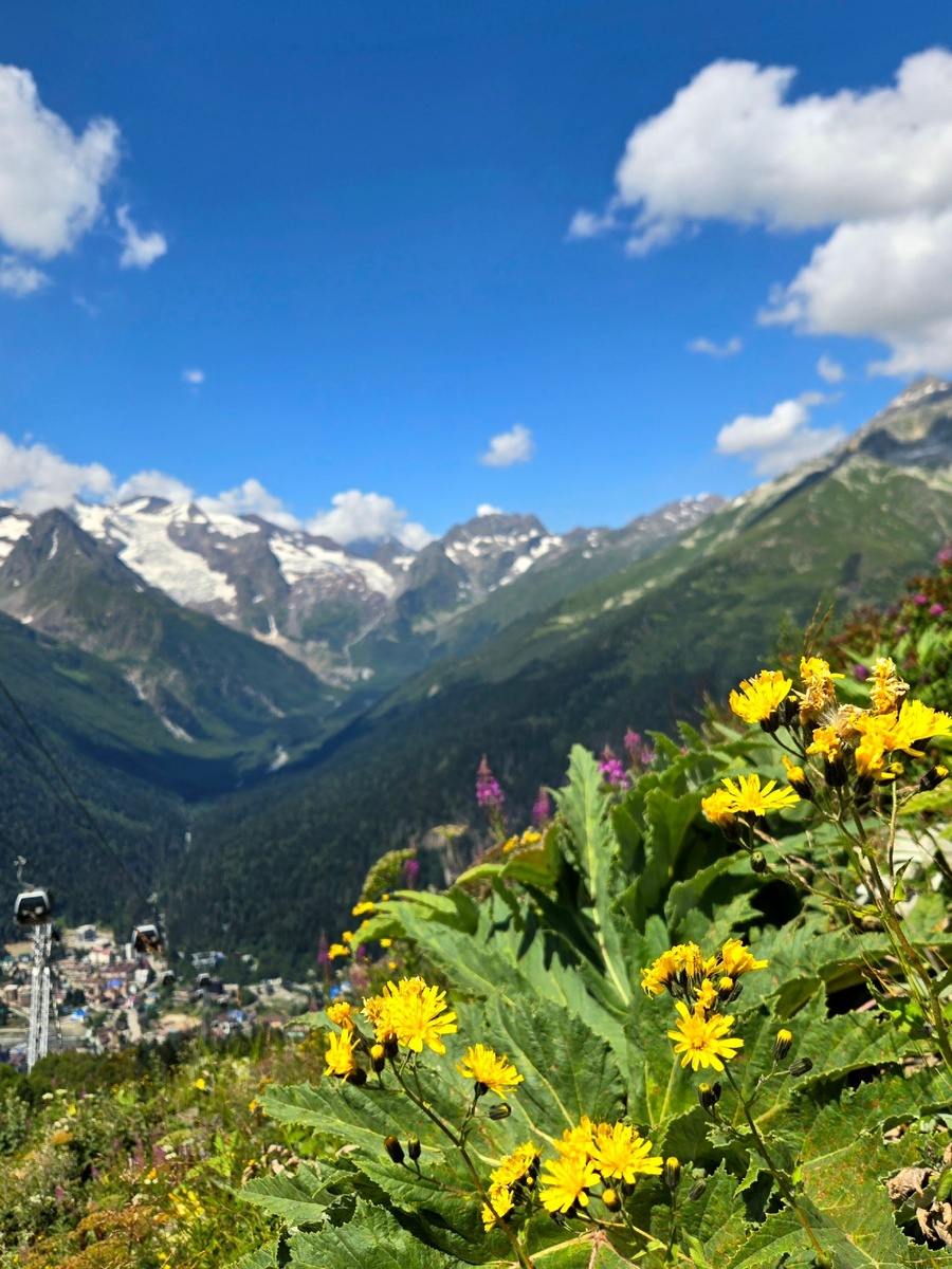 Домбай – горнолыжный курорт, привлекающий любителей активного отдыха со всего мира. Весной и летом Домбай превращается в цветущий альпийский луг. Здесь можно подняться по канатной дороге к облакам и попробовать настоящий горный чай. 