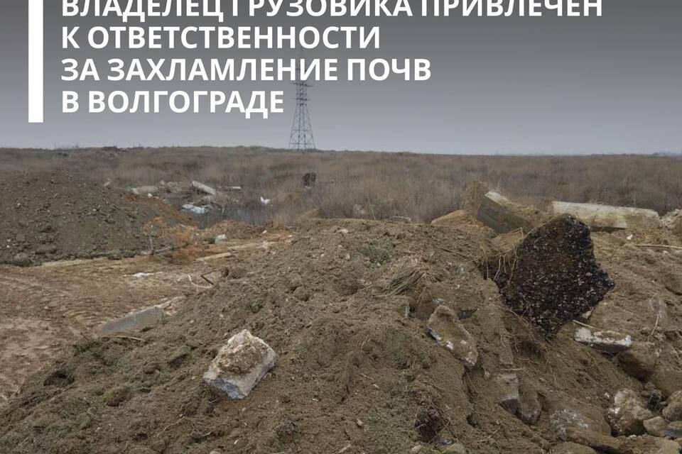    Фото: Росприроднадзор