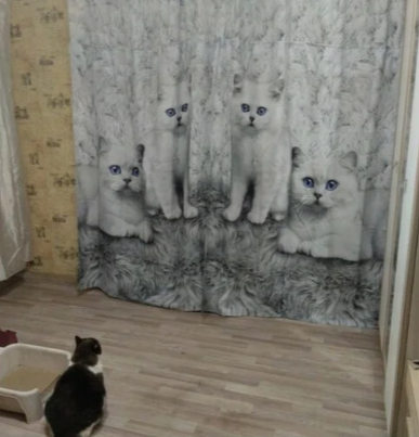 Источник Яндекс.фото 