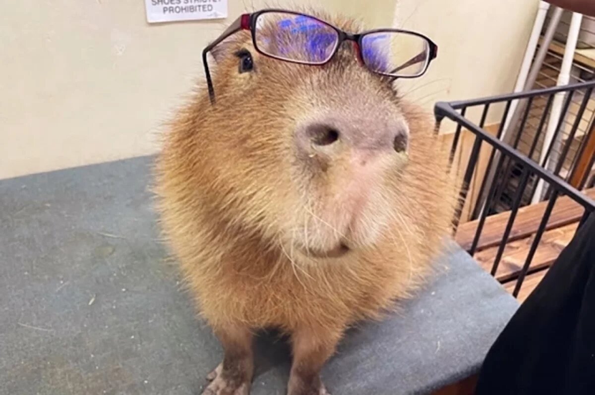    Дзен на 2 миллиона.