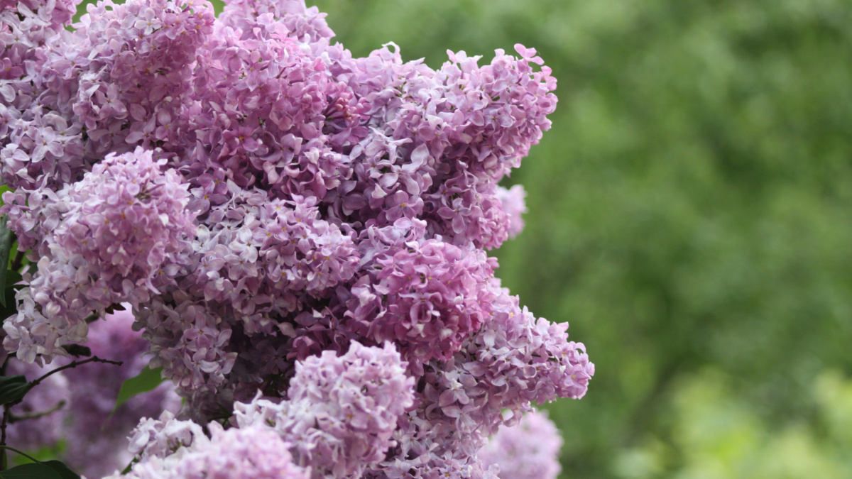 ИА «Тульская пресса»📷
