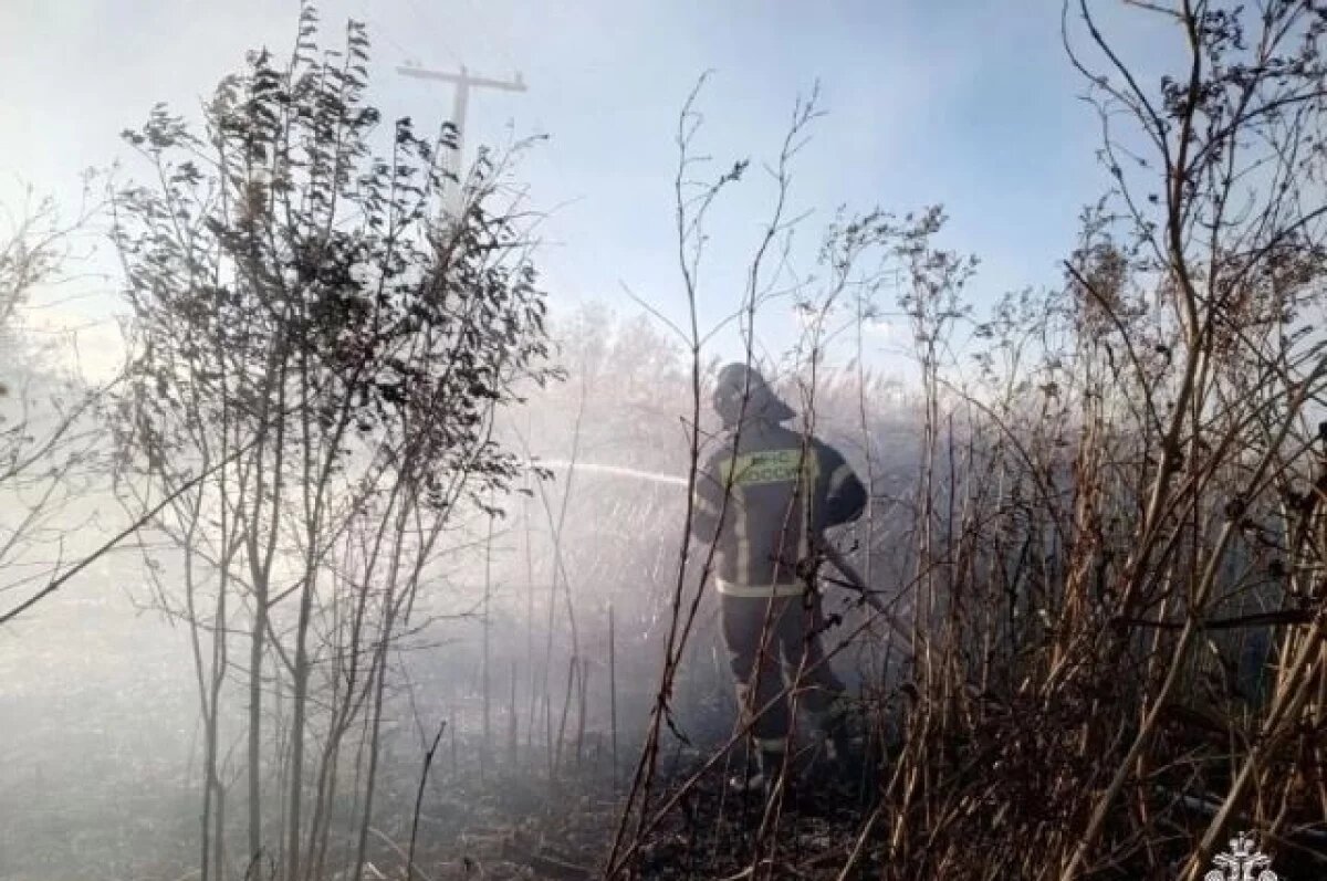    Под Феодосией пожарные борются с огнем на площади 2 гектара