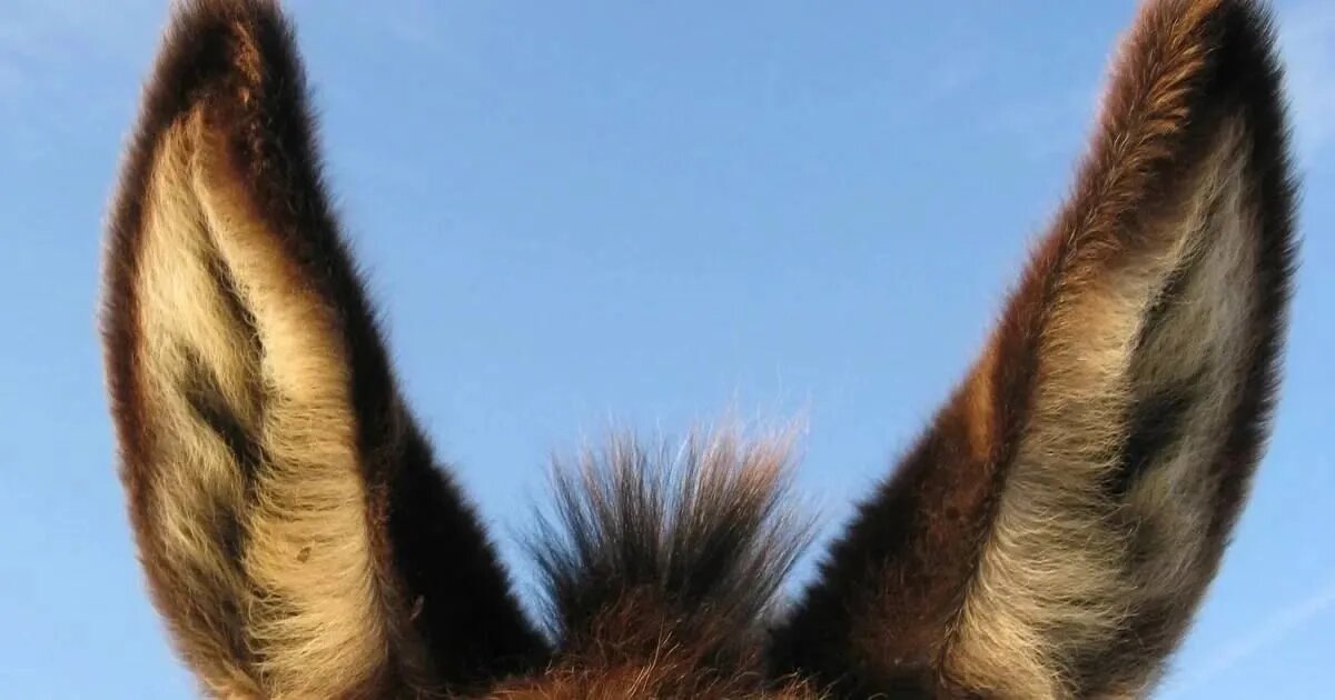 Максимальный профит Ларисы Александровны в суде с мошенниками