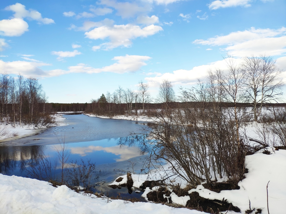    фото: © Евгений Белянчиков/Столица на Онего