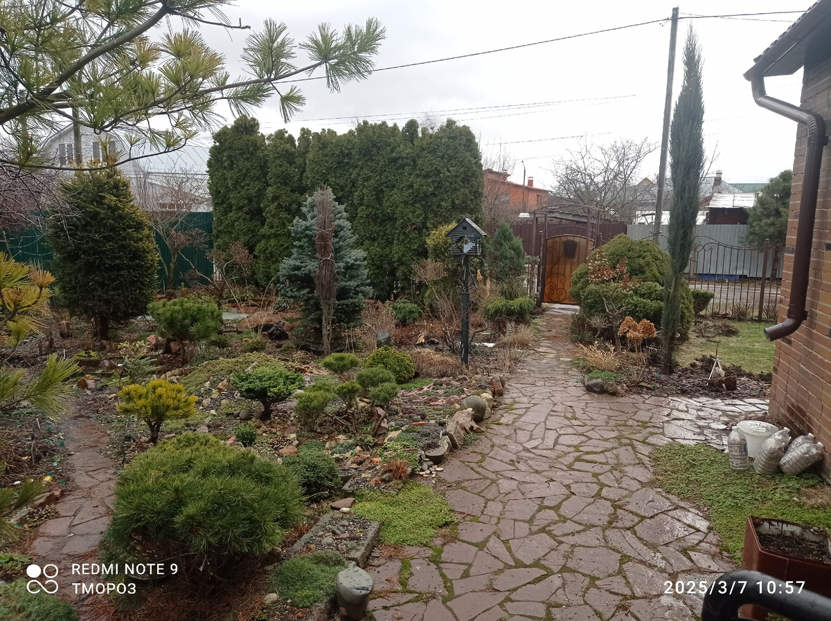 не верю! 7 марта 2025 года