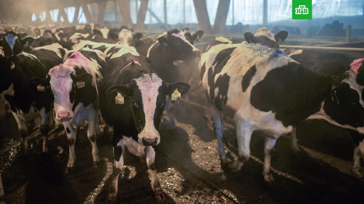    Фото: РИА Новости © 2026, Александр Кряжев