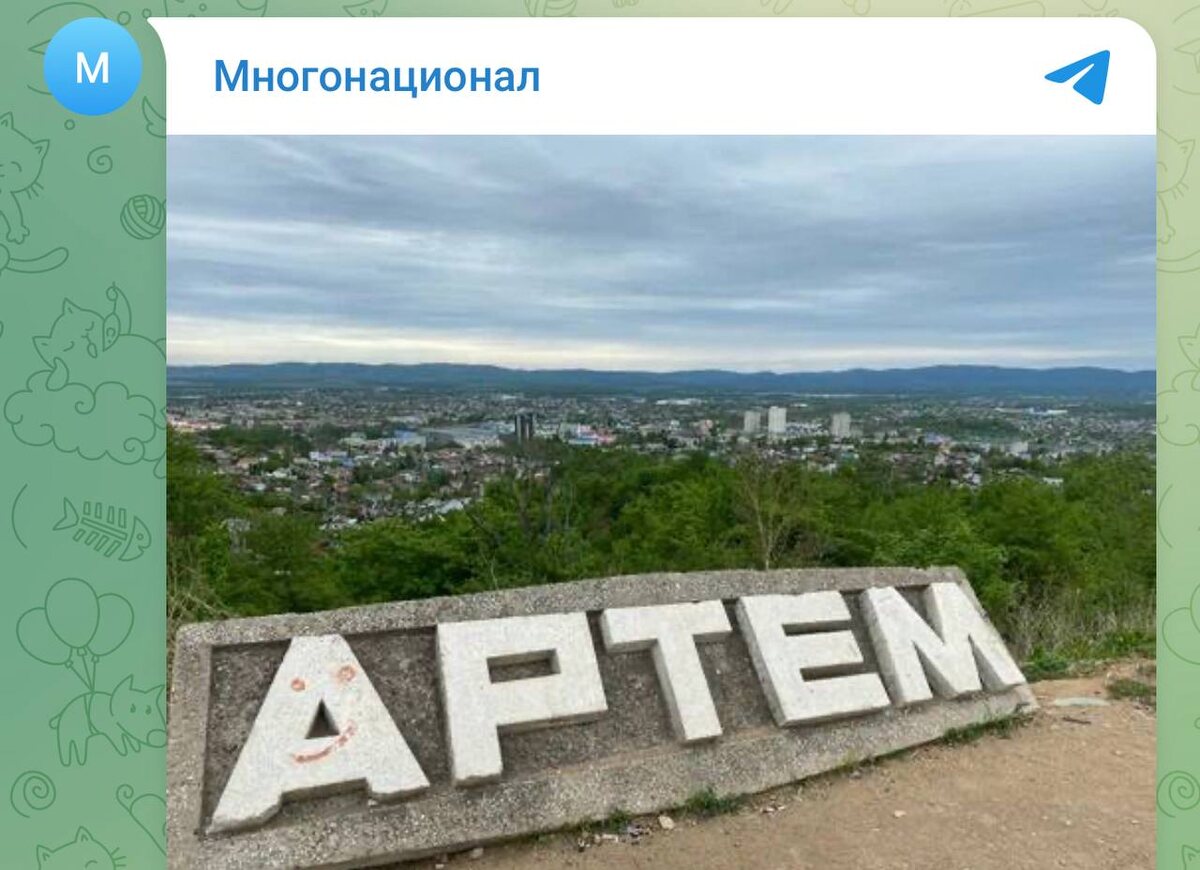 Фото: Telegram-канал «Многонационал»