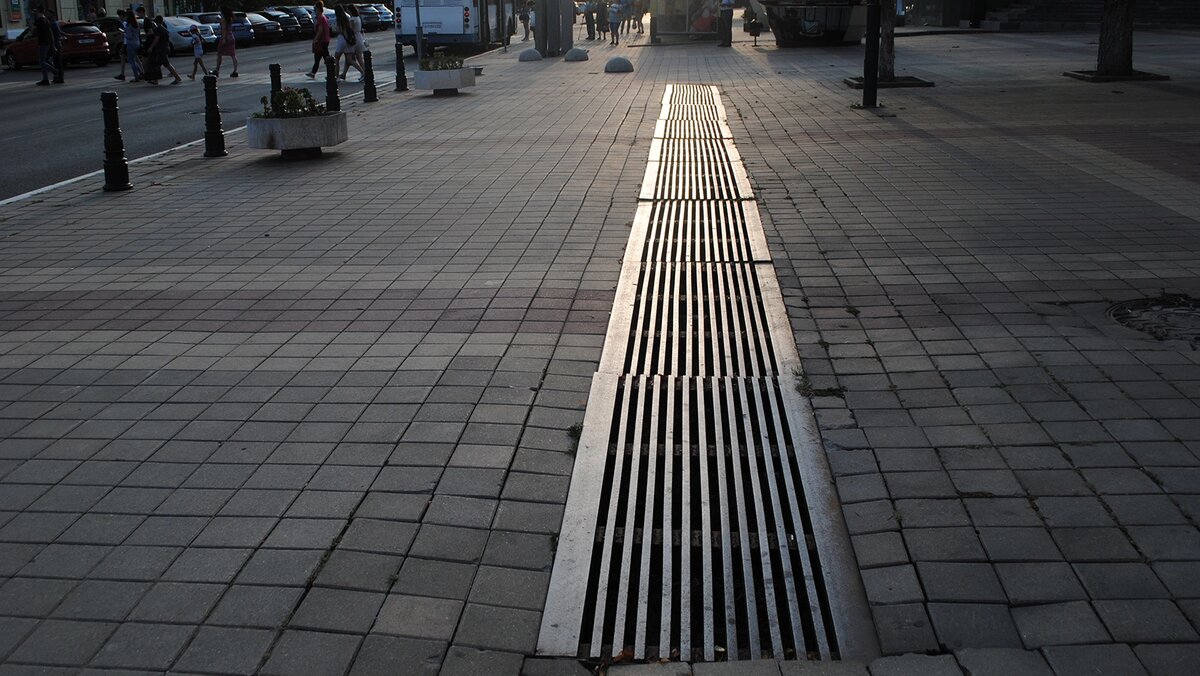    Фото: Сергей Егоров