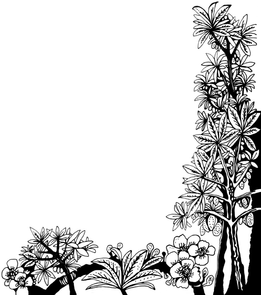 Иллюстрации Натальи Колпаковой