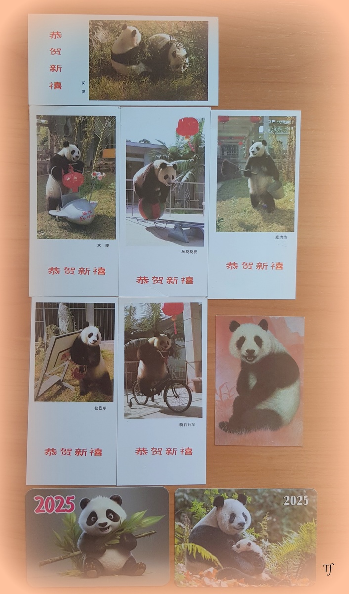 6 календариков Китая нестандартного размера 1988 года, рисованный болгарский 1977 года и уже российские современные 2025 года