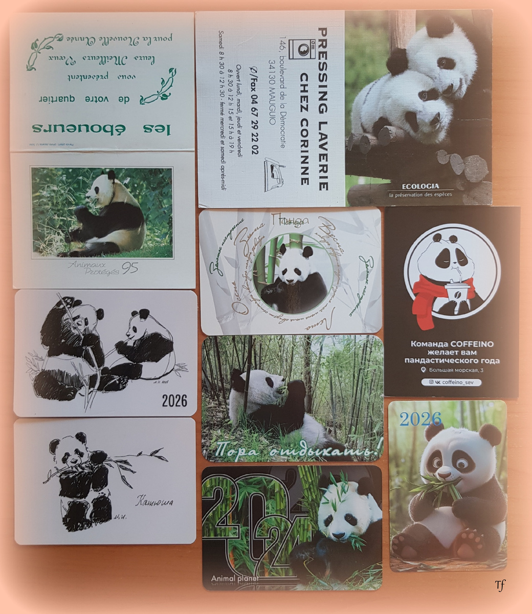 Особо выделяются календарики из Московского зоопарка с рисунками Ирины Маковеевой с Катюшей 2025 года и Дин-Дин с Жуи 2026 года