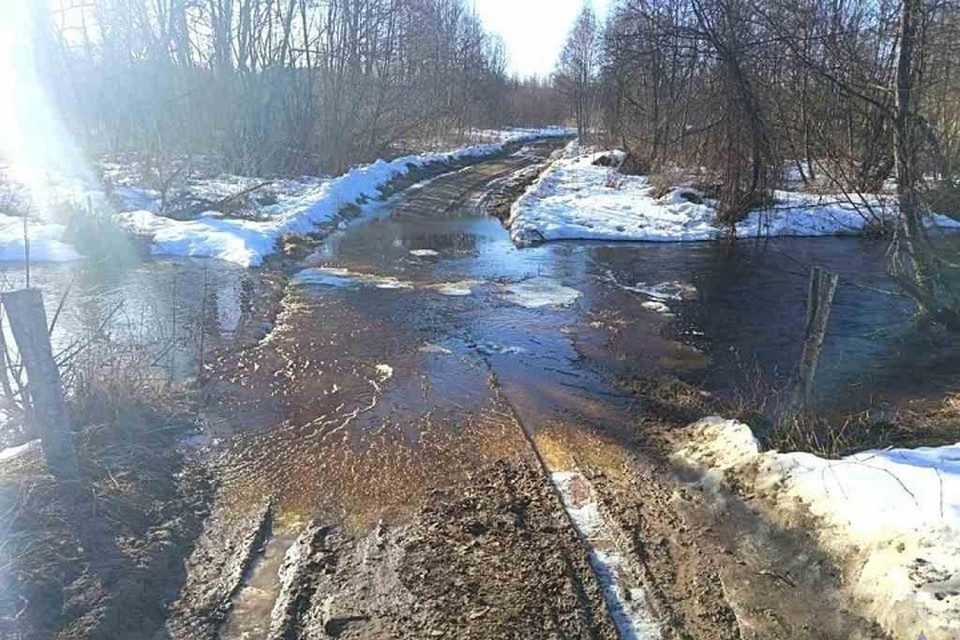   МЧС сообщило, что еще один автодорожный мост в Беларуси ушел под воду. Фото: МЧС.