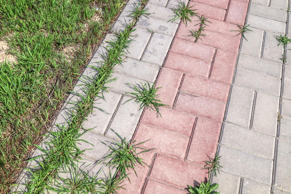 Квадратная тротуарная плитка