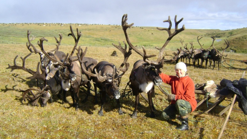    фото: пресс-службы Минсельхоза РК