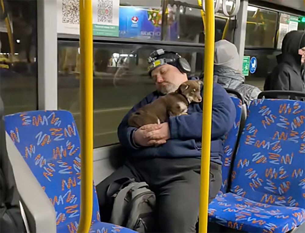  life091237love1, TikTok